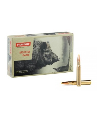 NORMA cal.30-06 Sprg Platic Point 180 grains - 11.7 grammes X20