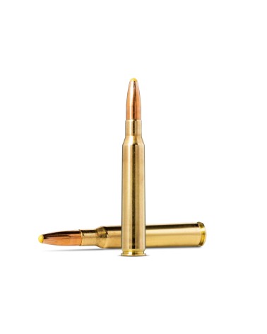 NORMA cal.7x64 PPDC 170 grains - 11 grammes x20